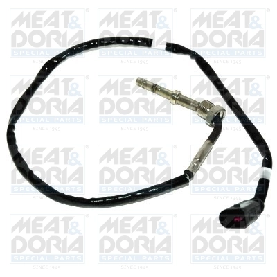 Sensor, exhaust gas temperature